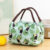 Non-woven Lunch Bag-bird