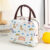 Non-woven Lunch Bag-horse