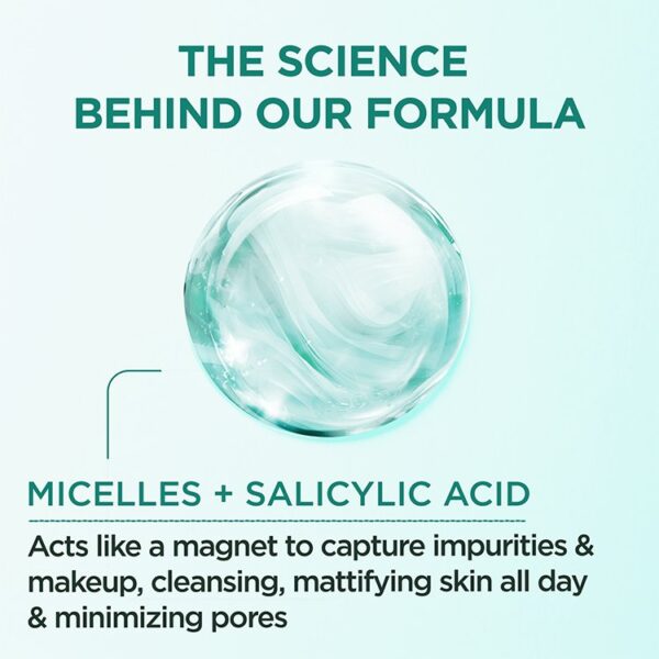 Garnier SkinActive Micellar Cleansing Water All-in-1 Purifying with Salicylic Acid 13.5oz