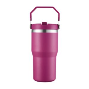 20oz Stainless Steel Ice Cup-dark purple
