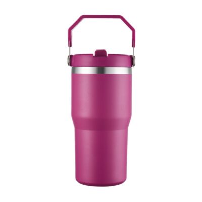 20oz Stainless Steel Ice Cup-dark purple