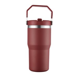 20oz Stainless Steel Ice Cup-purple