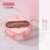 Bento Box-Pink