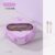 Bento Box-Purple