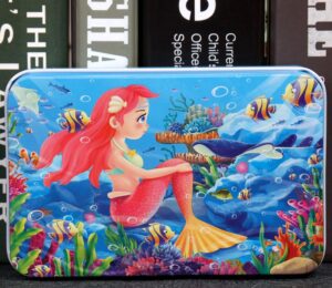 60-piece Iron Box Puzzle-Meiren fish