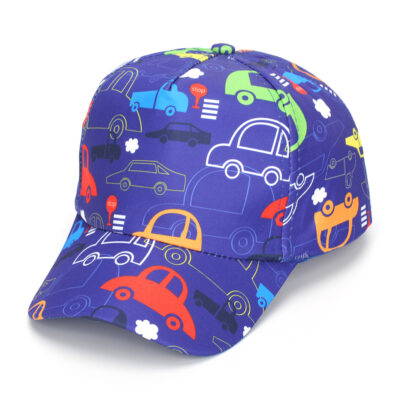 Car cap