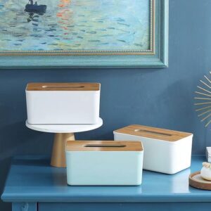Tissue Box Organizer- white