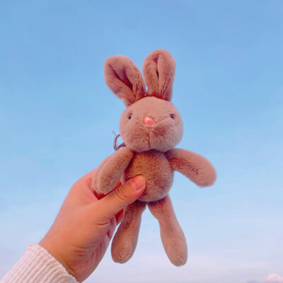Cute Plush Cartoon Keychain-Plush, soft bunny - brown