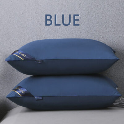 O1CN01X7RnCZ1m8NMGW3prI_!!6000000004909-0-cib Adult Pillow-Blue