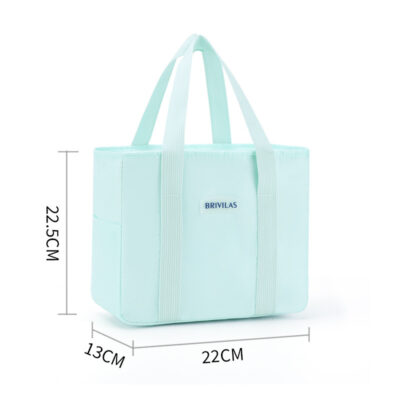 Insulated Lunch Bag-Korean Blue